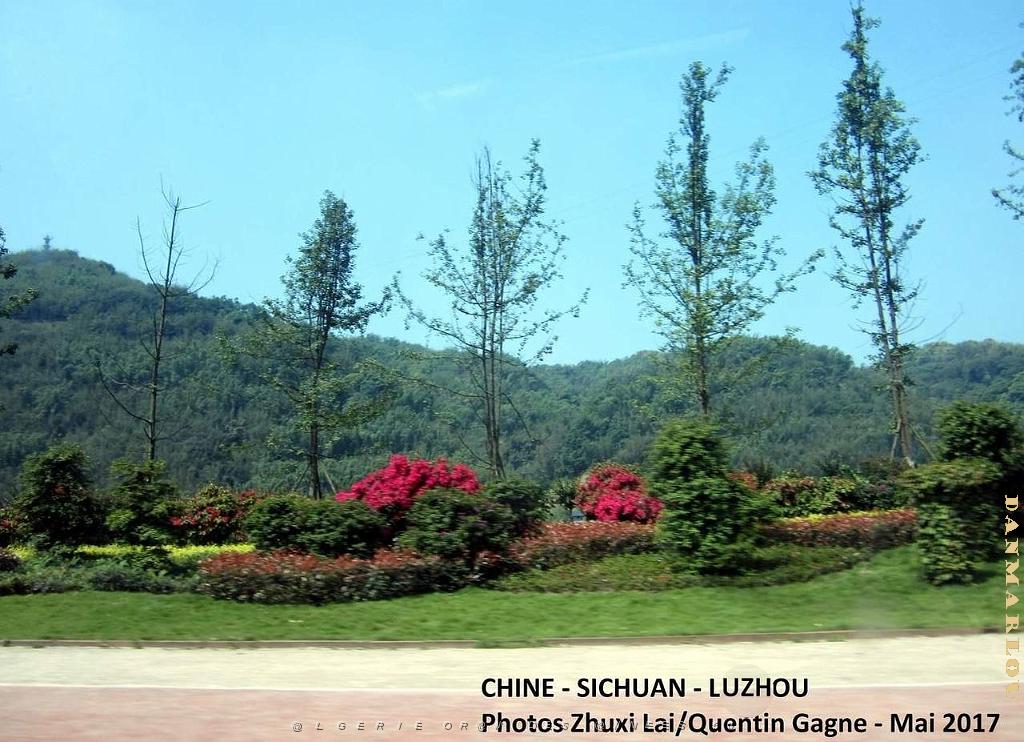 Luzhou 068.JPG